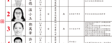 未依法放棄中華民國以外國籍 ! 內政部：村里長應予以解職 將行文富里鄉公所 